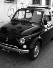 Fiat 500 nel mondo