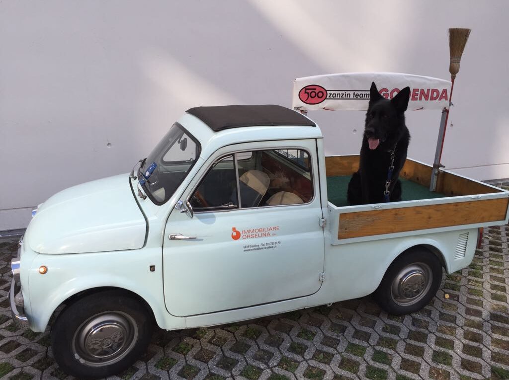 La Fiat 500 di Pedrini